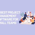 10 Best Project Management Software for Small Teams - 2024