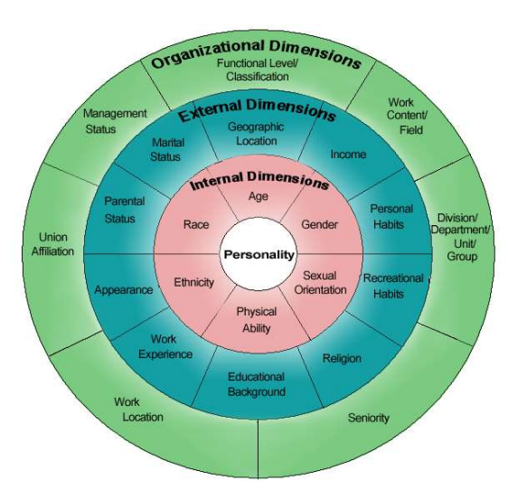 Diversity Management: Four Dimensions of Diversity