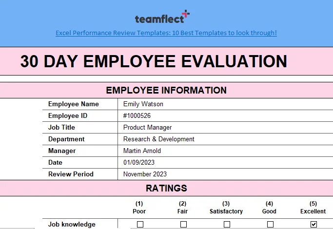 excel performance review template 10